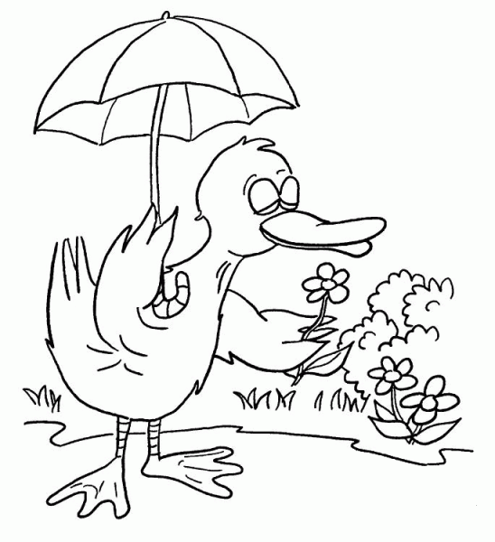 Duck with Umbrella coloring page image