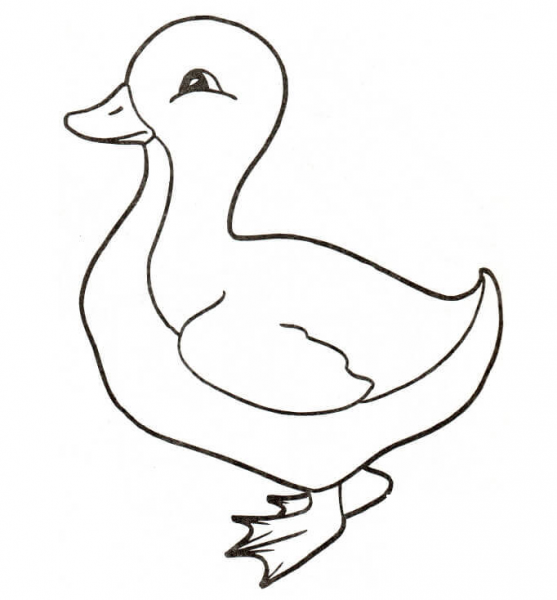 Duckling coloring page image