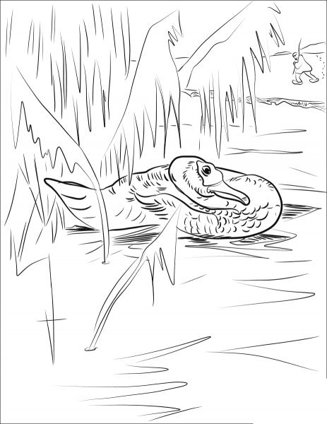 Duckling Finds Himself Trapped in Ice coloring page image
