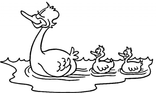 Ducklings  coloring page image