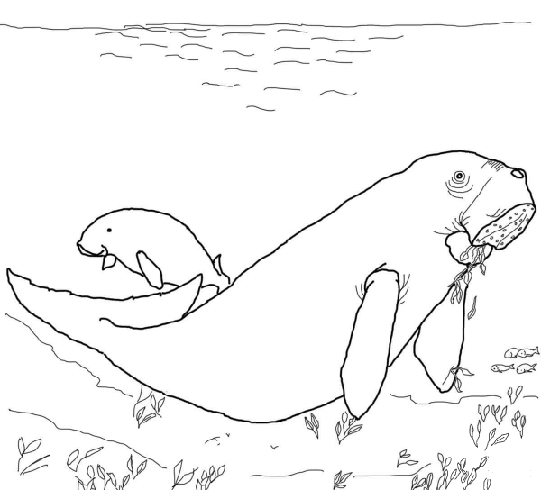 Dugong coloring page image
