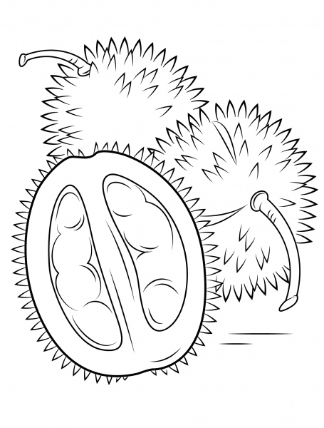 Durians coloring page image