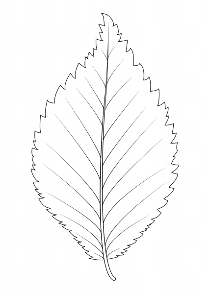Dutch Elm Leaf coloring page image