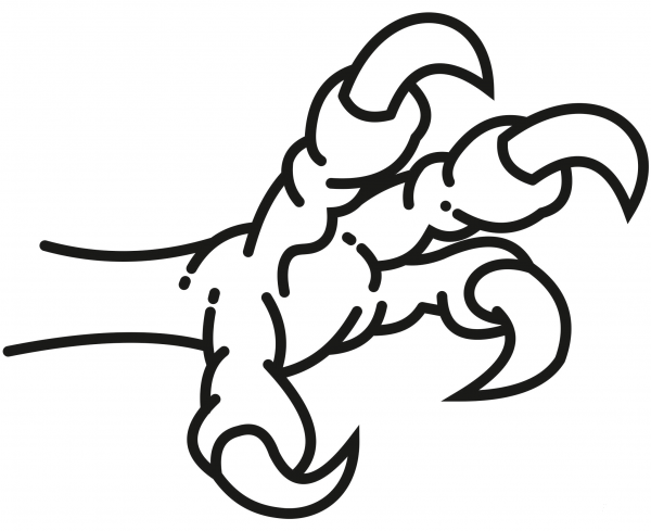 Eagle Claws coloring page image