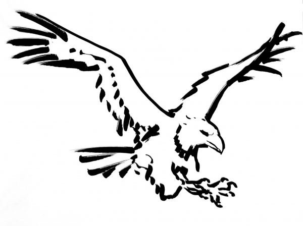Eagle coloring page image