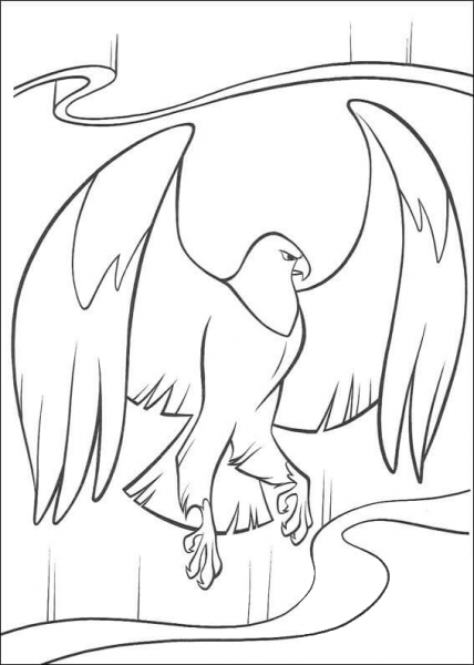 Eagle  coloring page image