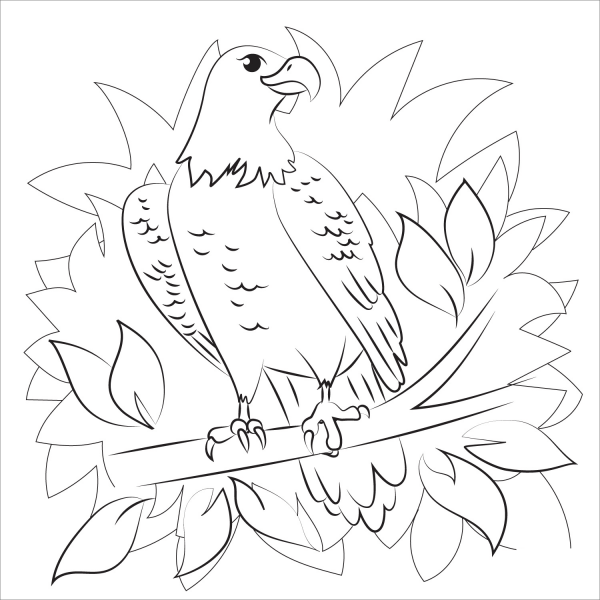 Eagle coloring page image