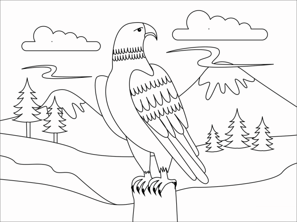 Eagle coloring page image