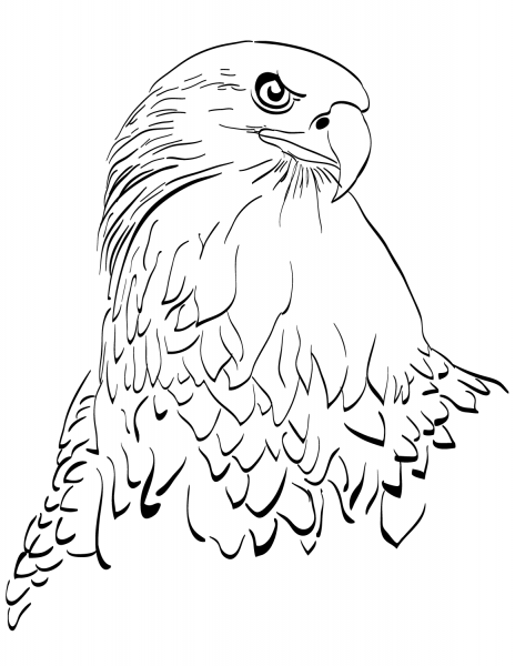 Eagle Head coloring page image