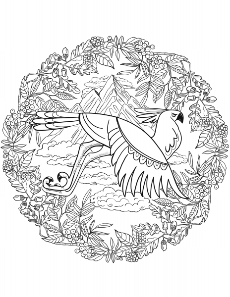 Eagle Mandala coloring page image