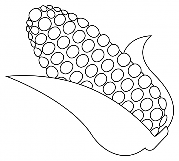 Ear of Corn coloring page image