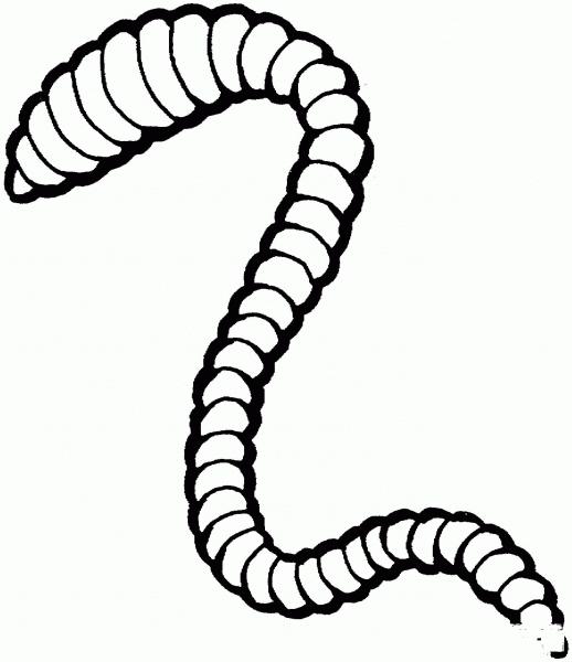 Earthworm coloring page image