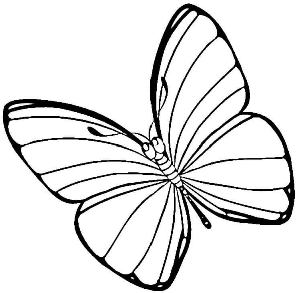 Easter Butterfly  coloring page image
