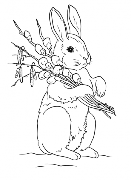 Easter rabbit coloring page image