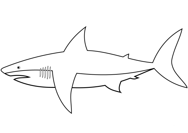 Easy Shark coloring page image