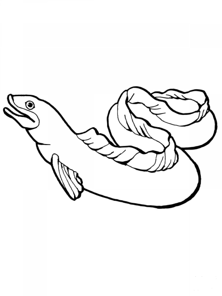 Eel coloring page image