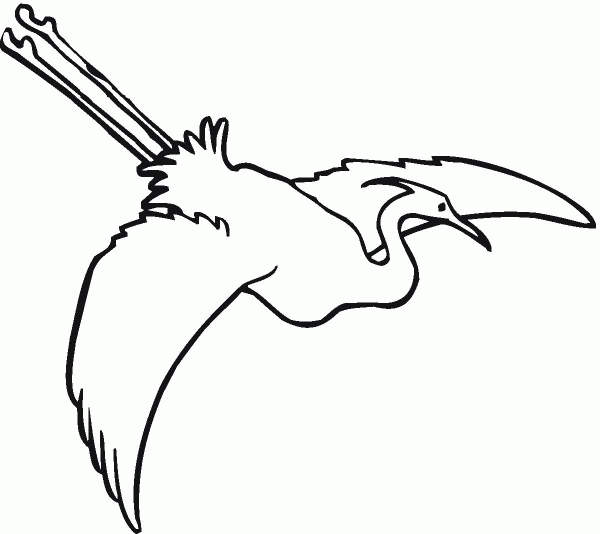 Egret Is Flying coloring page image