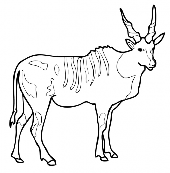 Eland coloring page image