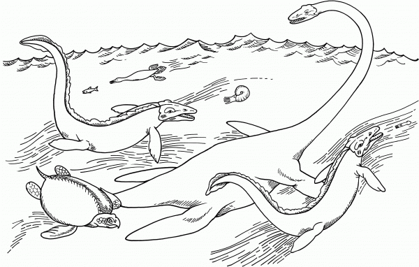 Elasmosaurus, Hesperornis, Tylosaurus, Archelon and Ammonite coloring page image