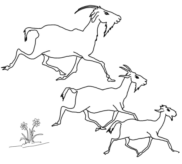 Elder, Middle and the Youngest Billy Goats coloring page image