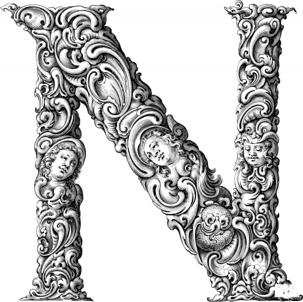 Elegant Flourish Letter N coloring page image