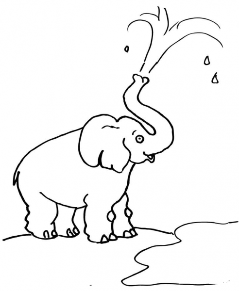 Elephant Blow Water Out of His Trunk  coloring page image