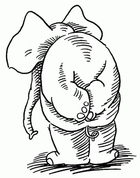 Elephant coloring page image