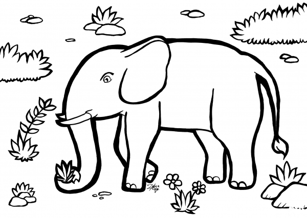 Elephant coloring page image