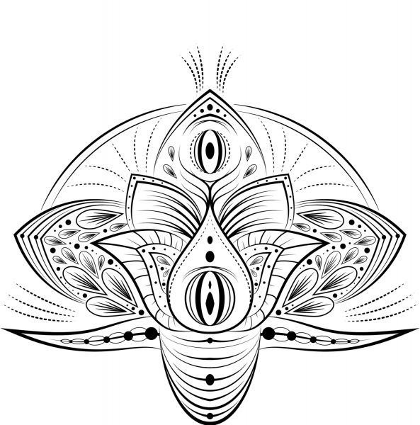 Elephant Mandala coloring page image