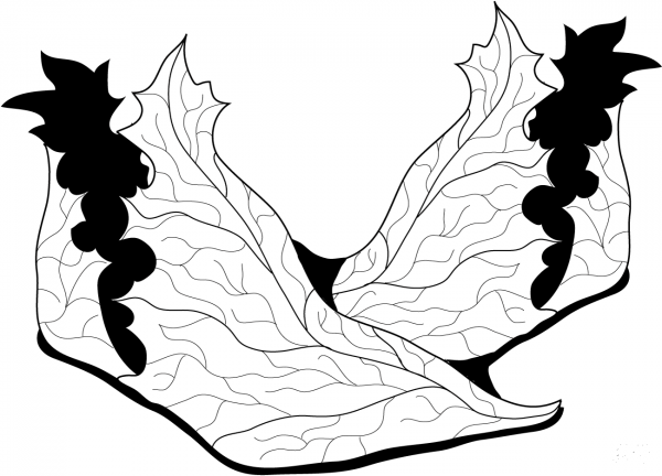 Elf Shoes coloring page image