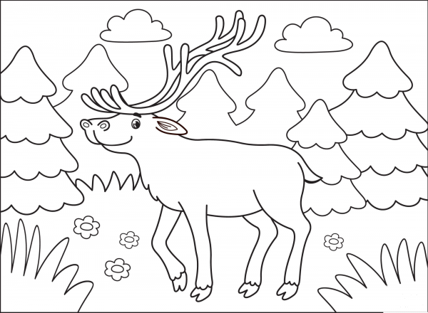 Elk coloring page image
