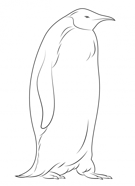Emperor Penguin coloring page image