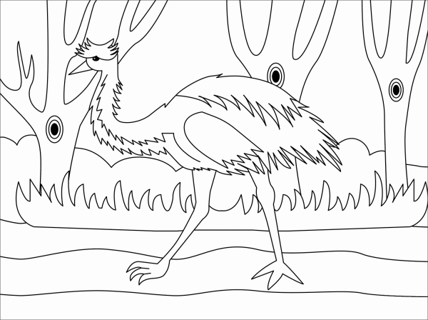 Emu coloring page image