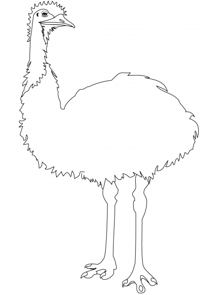 Emu coloring page image