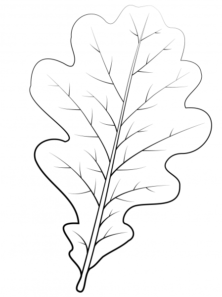 English Oak Leaf coloring page image