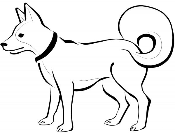 Eskimo Dog coloring page image