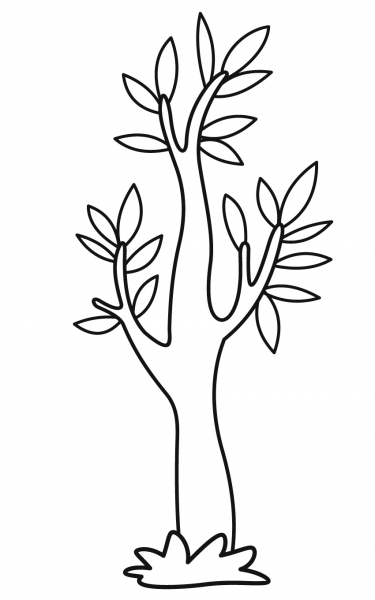 Eucalyptus coloring page image