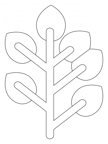 Eucalyptus coloring page image