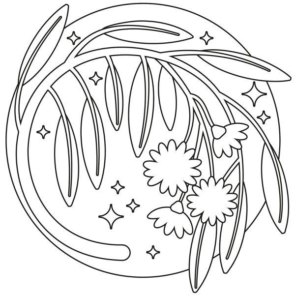 Eucalyptus coloring page image