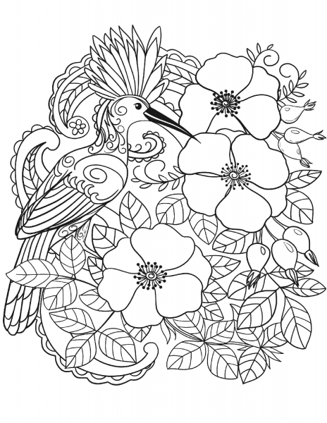 Eurasian Hoopoe Bird in Flowers coloring page image