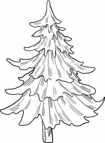 Evergreen Tree coloring page image