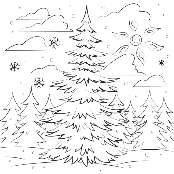 Evergreen Tree coloring page image