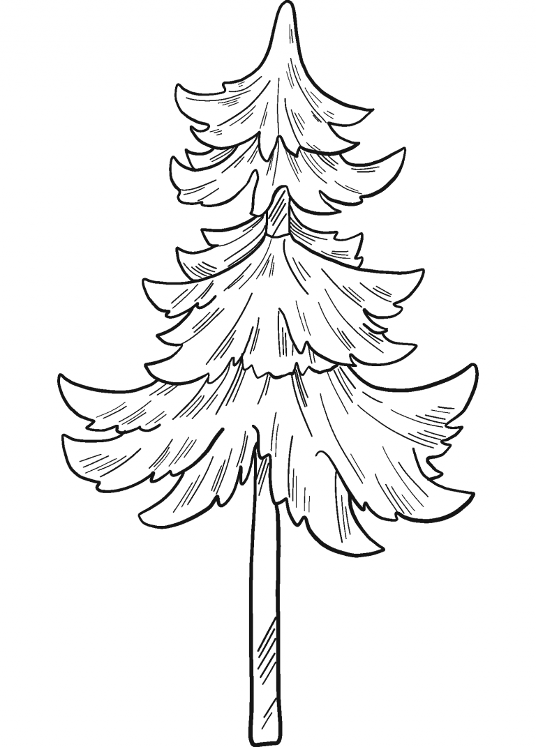 10 Evergreen Tree Coloring Pages for Winter Fun