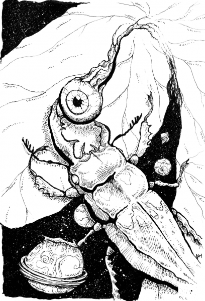 Eye See All coloring page image