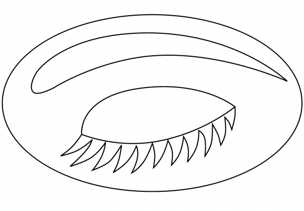 Eyebrow coloring page image