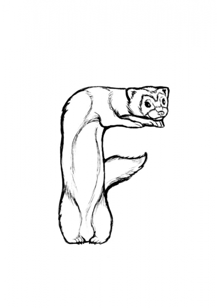 F is for Ferret coloring page image