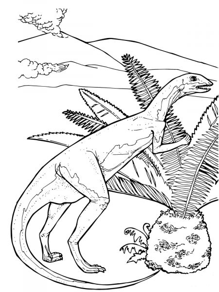 Fabrosaurus Herbivorous Jurassic Dinosaur coloring page image