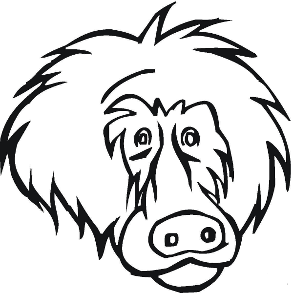 Face Of Baboon  coloring page image