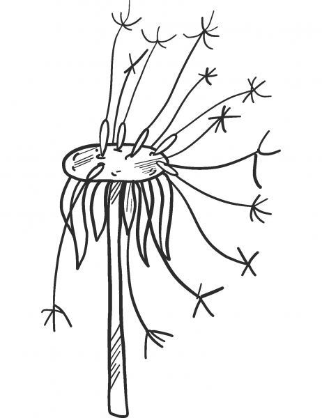 Fading Dandelion coloring page image