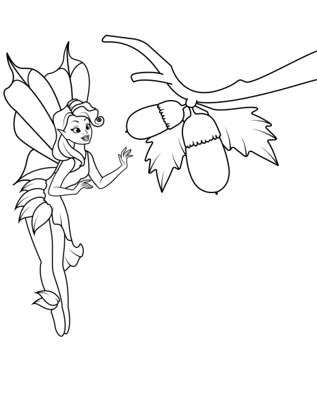 Fairy Found Some Acorns coloring page image